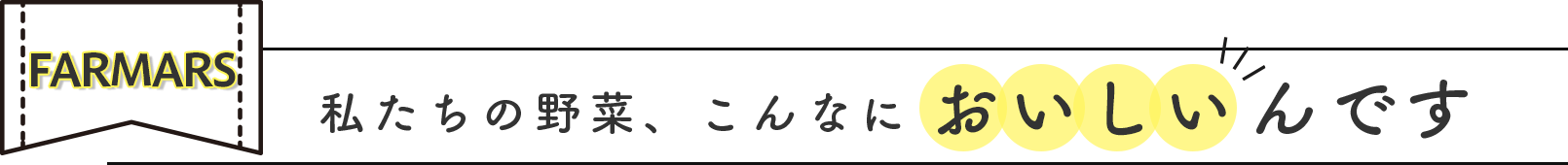 私たちの野菜、こんなにおいしいんです